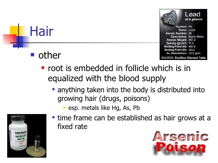 Fiber And Hair Evidence