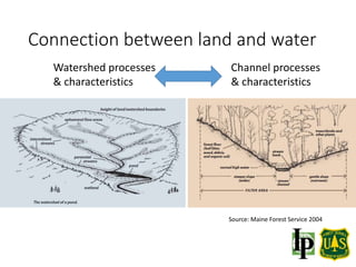 Connection between land and water
Source: Maine Forest Service 2004
Watershed processes
& characteristics
Channel processes
& characteristics
 