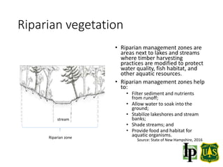 Riparian vegetation
• Riparian management zones are
areas next to lakes and streams
where timber harvesting
practices are modified to protect
water quality, fish habitat, and
other aquatic resources.
• Riparian management zones help
to:
• Filter sediment and nutrients
from runoff;
• Allow water to soak into the
ground;
• Stabilize lakeshores and stream
banks;
• Shade streams; and
• Provide food and habitat for
aquatic organisms.
Source: State of New Hampshire, 2016
stream
Riparian zone
 