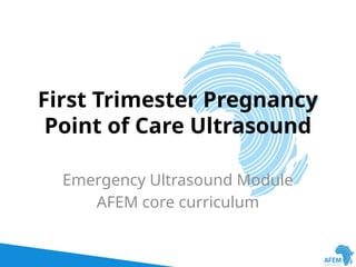 First Trimester Pregnancy Ultrasound.pptx