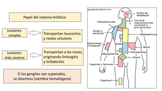 5_Fisiopatología de la Inflamación .pdf