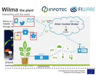 Co-funded by the Horizon 2020 Framework
Programme of the European Union
Wilma the plant
Interacting with the world
Wilma is a brazilwood plant connected to the
FIWARE Cloud to communicate its status
through several sensors.
Ground humidity, presence,
luminosity and temperature
 
