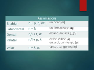 Assimilacions
Bilabial n + p, b, m: un pont [m]
Labiodental n + f: un farmacèutic [ɱ]
Dental n/l + t, d: el tanc, en falta [l],[n]
Palatal n/l + ɲ, ʎ el xec, el lloc [ʎ]
un jardí, un nyanyo [ɲ]
Velar n + k, g: tancat, sangonera [ŋ]
 