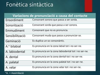Fonètica sintàctica
Variacions de pronunciació a causa del contacte
Ensordiment Consonant sonora que passa a ser sorda.
Sonorització Consonant sorda que passa a ser sonora.
Emmudiment Consonant que no es pronuncia.
Sensibilització Consonant muda que passa a pronunciar-se.
Geminació Es duplica un so consonàntic.
A.* bilabial Es pronuncia en la zona labial tot i no ser-ne.
A. labiodental Es pronuncia en la zona labiodental tot i no ser-ne.
A. dental Es pronuncia en la zona dental tot i no ser-ne.
A. palatal Es pronuncia en la zona palatal tot i no ser-ne.
A. velar Es pronuncia en la zona velar tot i no ser-ne.
*A. = Assimilació
 