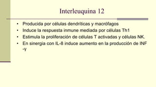 Interleuquina 12
• Producida por células dendríticas y macrófagos
• Induce la respuesta inmune mediada por células Th1
• Estimula la proliferación de células T activadas y células NK.
• En sinergia con IL-8 induce aumento en la producción de INF
-γ
 
