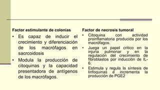 Factor estimulante de colonias
• Es capaz de inducir el
crecimiento y diferenciación
de los macrófagos en
sacrcoidosis
• Modula la producción de
citoquinas y la capacidad
presentadora de antígenos
de los macrófagos.
Factor de necrosis tumoral
• Citoquina con actividad
proinflamatoria producida por los
macrófagos.
• Juega un papel critico en la
injuria pulmonar y en la
regulación del crecimiento de
fibroblastos por inducción de IL-
6.
• Estimula y regula la síntesis de
linfoquinas e incrementa la
producción de PGE2
 