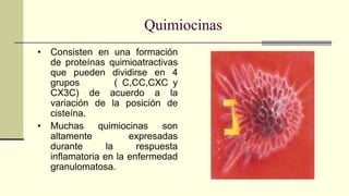 Quimiocinas
• Consisten en una formación
de proteínas quimioatractivas
que pueden dividirse en 4
grupos ( C,CC,CXC y
CX3C) de acuerdo a la
variación de la posición de
cisteína.
• Muchas quimiocinas son
altamente expresadas
durante la respuesta
inflamatoria en la enfermedad
granulomatosa.
 
