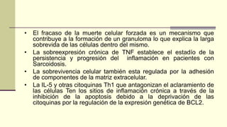 • El fracaso de la muerte celular forzada es un mecanismo que
contribuye a la formación de un granuloma lo que explica la larga
sobrevida de las células dentro del mismo.
• La sobreexpresión crónica de TNF establece el estadío de la
persistencia y progresión del inflamación en pacientes con
Sarcoidosis.
• La sobrevivencia celular también esta regulada por la adhesión
de componentes de la matriz extracelular.
• La IL-5 y otras citoquinas Th1 que antagonizan el aclaramiento de
las células Ten los sitios de inflamación crónica a través de la
inhibición de la apoptosis debido a la deprivación de las
citoquinas por la regulación de la expresión genética de BCL2.
 
