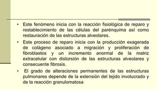 • Este fenómeno inicia con la reacción fisiológica de reparo y
restablecimiento de las células del parénquima así como
restauración de las estructuras alveolares.
• Este proceso de reparo inicia con la producción exagerada
de colágeno asociado a migración y proliferación de
fibroblastos y un incremento anormal de la matriz
extracelular con distorsión de las estructuras alveolares y
consecuente fibrosis.
• El grado de alteraciones permanentes de las estructuras
pulmonares depende de la extensión del tejido involucrado y
de la reacción granulomatosa
 