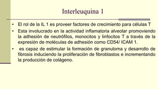 Interleuquina 1
• El rol de la IL 1 es proveer factores de crecimiento para células T
• Esta involucrado en la actividad inflamatoria alveolar promoviendo
la adhesión de neutrófilos, monocitos y linfocitos T a través de la
expresión de moléculas de adhesión como CD54/ ICAM 1.
• es capaz de estimular la formación de granuloma y desarrollo de
fibrosis induciendo la proliferación de fibroblastos e incrementando
la producción de colágeno.
 