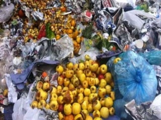 5 formas de evitar que tu comida vaya al basurero