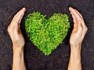 5 formas de evitar que tu comida vaya al basurero