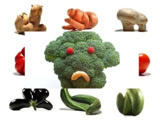 5 formas de evitar que tu comida vaya al basurero