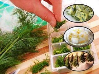 5 formas de evitar que tu comida vaya al basurero