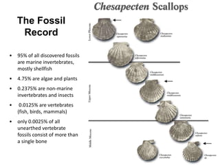 The Fossil
Record
• 95% of all discovered fossils
are marine invertebrates,
mostly shellfish
• 4.75% are algae and plants
• 0.2375% are non-marine
invertebrates and insects
• 0.0125% are vertebrates
(fish, birds, mammals)
• only 0.0025% of all
unearthed vertebrate
fossils consist of more than
a single bone
 