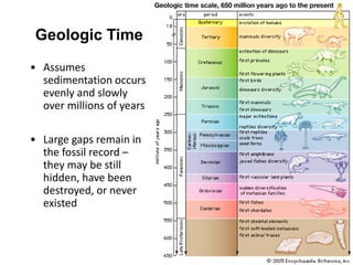 Geologic Time
• Assumes
sedimentation occurs
evenly and slowly
over millions of years
• Large gaps remain in
the fossil record –
they may be still
hidden, have been
destroyed, or never
existed
 