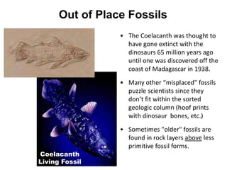 Out of Place Fossils
• The Coelacanth was thought to
have gone extinct with the
dinosaurs 65 million years ago
until one was discovered off the
coast of Madagascar in 1938.
• Many other “misplaced” fossils
puzzle scientists since they
don’t fit within the sorted
geologic column (hoof prints
with dinosaur bones, etc.)
• Sometimes "older" fossils are
found in rock layers above less
primitive fossil forms.
Coelacanth
Living Fossil
 