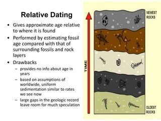 Relative Dating
• Gives approximate age relative
to where it is found
• Performed by estimating fossil
age compared with that of
surrounding fossils and rock
layers
• Drawbacks
– provides no info about age in
years
– based on assumptions of
worldwide, uniform
sedimentation similar to rates
we see now
– large gaps in the geologic record
leave room for much speculation
 