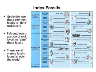 Index Fossils
• Geologists use
these common
fossils to “date”
rock layers
• Paleontologists
use age of rock
layers to “date”
these fossils
• These are all
marine fossils -
found all over
the world
 