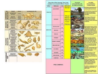 Geosphere III: Fossils