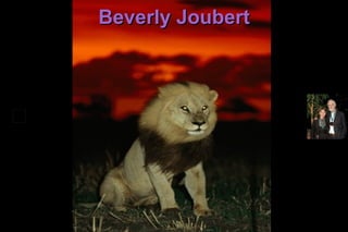 Beverly Joubert 
