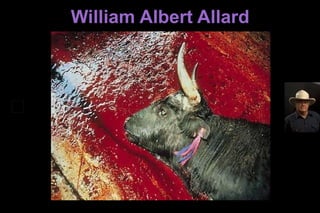 William Albert Allard 