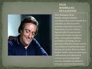 Félix Rodríguez de la
Fuente ,fotógrafo abulense
autodidacta, lleva en la fotografía de la
naturaleza 30 años. Su archivo
personal incluye más de 500.000
diapositivas y 100.000 archivos
digitales sobre los más diversos
aspectos del mundo vivo que nos
rodea. Licenciado en medicina y
autodidacta en biología, fue un
personaje polifacético de gran carisma
cuya influencia ha perdurado a pesar
del paso de los años. Murió en Alaska,
Estados Unidos, junto con otros cuatro
colaboradores al accidentarse la
aeronave que los transportaba
mientras realizaban una filmación
aérea para uno de sus documentales.
FÉLIX
RODRÍGUEZ
DE LA FUENTE
 