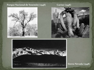 Parque Nacional de Yosemite (1948) Cactus (1948)
Sierra Nevada (1948)
 