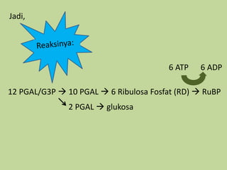 12 PGAL/G3P  10 PGAL  6 Ribulosa Fosfat (RD)  RuBP
2 PGAL  glukosa
6 ATP 6 ADP
Jadi,
 