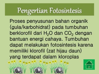 Proses penyusunan bahan organik
(gula/karbohidrat) pada tumbuhan
berklorofil dari H2O dan CO2 dengan
bantuan energi cahaya. Tumbuhan
dapat melakukan fotosintesis karena
memiliki klorofil (zat hijau daun)
yang terdapat dalam kloroplas
 