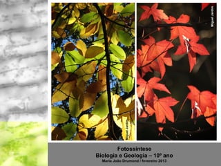 Miguel Jardim
              Miguel Jardim




        Fotossíntese
Biologia e Geologia – 10º ano
  Maria João Drumond / fevereiro 2013
 