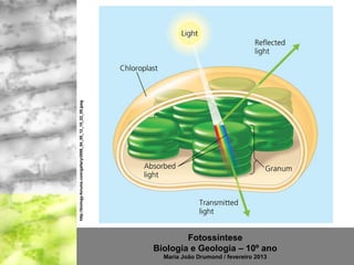 http://biology-forums.com/gallery/2056_04_05_12_10_22_05.jpeg




                                                                        Fotossíntese
                                                                Biologia e Geologia – 10º ano
                                                                  Maria João Drumond / fevereiro 2013
 