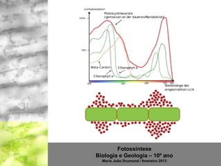 Fotossíntese
Biologia e Geologia – 10º ano
  Maria João Drumond / fevereiro 2013
 