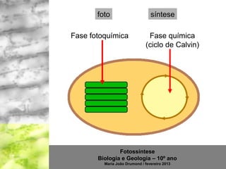 foto                      síntese

Fase fotoquímica               Fase química
                              (ciclo de Calvin)




               Fotossíntese
       Biologia e Geologia – 10º ano
         Maria João Drumond / fevereiro 2013
 