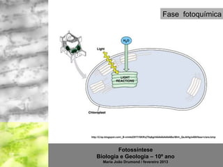 Fase fotoquímica




http://2.bp.blogspot.com/_B-vmt4zD5YY/SKRvjT5q6gI/AAAAAAAAABs/iBhh_QsJkHg/s400/fase+clara.bmp




           Fotossíntese
   Biologia e Geologia – 10º ano
        Maria João Drumond / fevereiro 2013
 