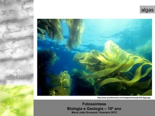 algas




                     http://www.yourdictionary.com/images/articles/lg/1033.Algae.jpg



        Fotossíntese
Biologia e Geologia – 10º ano
  Maria João Drumond / fevereiro 2013
 