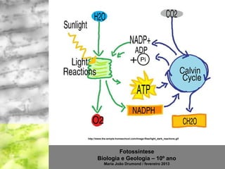 http://www.the-simple-homeschool.com/image-files/light_dark_reactions.gif




               Fotossíntese
       Biologia e Geologia – 10º ano
            Maria João Drumond / fevereiro 2013
 