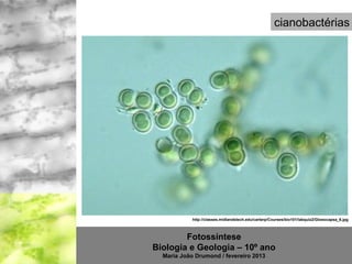 cianobactérias




            http://classes.midlandstech.edu/carterp/Courses/bio101/labquiz2/Gloeocapsa_6.jpg



        Fotossíntese
Biologia e Geologia – 10º ano
  Maria João Drumond / fevereiro 2013
 