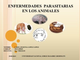 ENFERMEDADES PARASITARIAS
EN LOS ANIMALES
29/09/2015 UNIVERSIDAD NACIONAL JORGE BASADRE GROHMANN
NOMBRE : CAROL JESSENIA LOPEZ LOPEZ
CODIGO : 2015-109025
DOCENTE: Ing. VIRGILIO
 