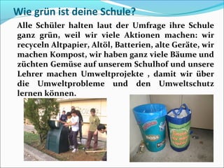 Wie grün ist deine Schule?
Alle Schüler halten laut der Umfrage ihre Schule
ganz grün, weil wir viele Aktionen machen: wir
recyceln Altpapier, Altöl, Batterien, alte Geräte, wir
machen Kompost, wir haben ganz viele Bäume und
züchten Gemüse auf unserem Schulhof und unsere
Lehrer machen Umweltprojekte , damit wir über
die Umweltprobleme und den Umweltschutz
lernen können.
 