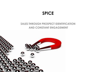 SPICE
SALES THROUGH PROSPECT IDENTIFICATION
AND CONSTANT ENGAGEMENT

 