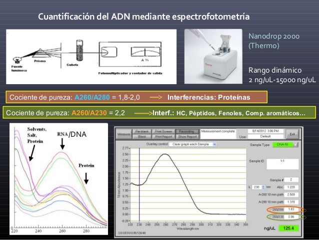 5 fu dpyd. extracción. ctdna.