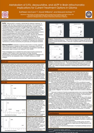 Metabolism of 5-FU, deoxyuridine, and dUTP in Brain Mitochondria: Implications for Current Treatment Options in GliomaKathleen McCann1,2, David Williams3, and Edward McKee1,2,31 Department of Biochemistry and Molecular Biology, Indiana University School of Medicine, South Bend, IN 46617 USA2 Eck Institute for Global Health, University of Notre Dame, Notre Dame, IN 46556, USA3 Department of Biological Sciences, University of Notre Dame, Notre Dame, IN 46556 USA 5-FU (5-flourouracil) is currently in clinical trials for treatment of gliomas.1 In neoplastic cells, this drug is metabolized by two pathways. 5-FU is converted to 5-dUMP by thymidine phosphorylase and thymidine kinase. 5-FdUMP then competitively inhibits the conversion of dUMP to TMP by thymidylate synthase. This increases dUTP and depletes theTTP needed for DNA synthesis and repair, leading to apoptosis. 5-FdUMP is further phosphorylated to 5-FdUTP and is incorporated into DNA. In the second pathway, 5-FU is phosphorylated by actions of uridine phosphorylase and uridine kinase to 5-FUMP and then further phosphorylated to 5-FUTP and incorporated into RNA.  However, the metabolism of 5-FU is as yet undefined in brain. 5-FU neurotoxicity may present as leukoencephalopathy, cerebellar signs, or acute demyelination. The use of thymidine infusions to reverse symptoms strongly suggested that the neurotoxicity is caused by dNTP pool imbalance. It is necessary to understand the underlying mechanisms to minimize neurotoxicity and judiciously use therapeutic thymidine.  Deoxyuridine metabolism in the brain mitochondria is not fully understood. While a small amount is needed for RNA synthesis, incorporation of dUTP into mitochondrial DNA (mtDNA) can lead to mutagenesis and apoptosis, especially as base excision repair is known to be inefficient in brain mtDNA.  These investigations aim to establish the activity of the enzymes necessary for regulation of dUTP pools in brain mitochondria: dUTPase, thymidine phosphorylase, and thymidine synthase. We also investigate the metabolism of 5-flourouricil (5-FU), the metabolite of which, 5-FdUMP, functions as a dUMP analogue.  B A Thymidine Thymidine TMP TMP TTP TTP TDP TDP Figure 4.  Phosphorylation of 3H-Thymidine (A) and phosphorylation of 3H Thymidine (B) quantified as pmol/mg protein/hour .  The 5-FU did not appear to compete with thymidine for binding on enzyme thymidine kinase 2. There was no significant effect on the total amount of TTP created.  B A dUTP dU dUMP dUMP dU dUDP dUDP dUTP Methods Figure 5.  Phosphorylation of 3H-dU (A) and de-phosphorylation of 3H dUTP  to dUMP (B) quantified as pmol/mg protein/hour .   The enzyme dUTPase catabolizes much more dUTP  to dUMP over the time course than the enzyme thymidine kinase 2 phosphorylates dU to dUMP.  This  is likely an important mechanism in maintaining low levels of dUTP in brain mitochondria.   Mitochondria were isolated from freshly removed brains from adult Harlan Sprague Dawley rats. The protein content was measured by the method of Lowry and the intactness of the brain mitochondrial preparation was determined by measuring the respiratory control ratio (RCR). Mitochondria with RCR values over 5 were incubated at a final concentration of 4 mg protein /ml in media with labeled and unlabeled deoxynucleosides and deoxynucleoside analogs. Samples of the mitochondrial incubation were removed at specific time points and combined with an equal volume of 10% trichloroacetic acid to lyse mitochondria and precipitate the protein and nucleic acids.  This mixture was placed on ice, centrifuged, and the supernatant extract neutralized by addition of AG-11A8 resin. Labeled deoxynucleosides and phosphorylated products in the filtered extracts were analyzed and quantitated by HPLC on an Alltech nucleoside-nucleotide reverse phase column coupled to an inline UV monitor and liquid scintillation counter as previously described.2Peaks were identified by comparison to standards. Discussion In terminally differentiated cells, mitochondria are now thought to play a key role in pathogenesis of neoplastic disease. Mitochondria in glioma have dysfunctional apoptotic pathways, altered energy metabolism, and abnormal counts of mtDNA. Many traditional chemotherapeutic agents act by inhibiting the synthesis of deoxypyrimidines, especially that of thymidine to TTP, and subsequently disrupt DNA synthesis.  Neurotoxicity is a factor limiting the use of many agents.  This may be because normal brain mitochondria are vulnerable to dNTP pool imbalances, disrupting mtDNA synthesis and repair; the dNTP pool in brain mitochondria is only about 1% of that found in an actively replicating cell.         In the small mitochondrial dNTP pool, the availability of TTP is not sufficient to protect against incorporation of dUTP into mtDNA, especially since mtDNA polymerases do not readily correct U:A mismatches. The dNTP ratios must be strictly controlled. Here, we demonstrate the presence of a highly  active and specific dUTPase  It  plays a critical role in the metabolism of dU, which seems to be a process of futile cycling:  The dU is phosphorylated to dUMP and any  further phosphorylation to dUTP occurs at a slower rate than the dephosphorylation back to dUMP, as seen in Figure 5. This is also seen in Figure 1 where there is actually no detectable dUTP. 	 There was no evidence of thymidine phosphorylase activity in brain mitochondria (Figures 1, 2, & 3).  Thymidine phosphorylase catabolizes thymidine to thymine, as well as deoxyuridine to uracil.  It also converts 5-FU to 5-FdURd, the precursor for 5-FdUMP.  Lack of this enzyme may make brain mitochondria more vulnerable to dNTP pool imbalances.  There was no TMP detected in these studies (Figures 1 & 3). The lack of TMP indicates an absence of the enzyme thymidylate synthetase. In replicating cells, thymidylate synthetase maintains dUTP:TTP ratios by catalyzing the reductive methylation of dUMP to TMP and dihydrofolate in the de novo synthesis pathway.  This is This lab has previously demonstrated that brain mitochondria rely on the salvage pathway for maintenance of dNTP pools.  	The current trials using 5-FU specifically target thymidylate synthetase, known to be upregulated in high grade glioma.  We demonstrate, however,as seen in Figure 2 that 5-FU is phosphoryated to 5-FUTP, and can cause mutagenesis by incorporation into RNA. This suggests are more likely mechanism for neurotoxicity than thymidine depletion.  This is further supported by the data shown in Figure 4, in which 5-FU had no effect on mitochondrial TTP synthesis. Results Figure 1.  HPLC results of samples taken from incubations at 180 minutes. Isolated rat brain mitochondria were able to transport dU across the inner membrane into the matrix. dU is phosphorylated to dUMP by thymidine kinase 2.  Of note, there is no evidence of conversion of dUMP to TMP. There was no breakdown of dU to uracil.  DPM Column Retention Time in Minutes Figure 2. HPLC results of samples taken from incubations at 180 minutes. Isolated rat brain mitochondria were able to transport 5-FU across the inner membrane into the matrix.  5-FU is likely phosphorylated to 5-FUMP by the activity of uridine phosphorylase and uridine kinase.  5-FUMP is then phosphorylated to 5-FUDP by nucleotide monophosphate kinase and then to 5-FUTP by nucleoside diphosphokinase. There is no evidence of conversion 5-FdUrd or 5-FdUMP.   DPM Conclusions Column Retention Time in Minutes ,[object Object]