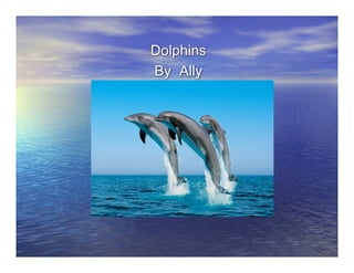 Dolphins
By Ally
 