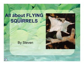 All about FLYING
   SQUIRRELS



     By Steven
 
