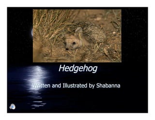Hedgehog
Written and Illustrated by Shabanna
 