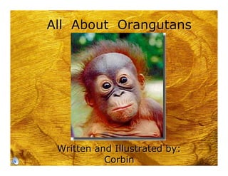 All About Orangutans




 Written and Illustrated by:
           Corbin
 