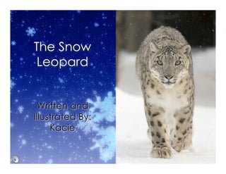 The Snow
 Leopard


 Written and
Illustrated By:
     Kacie
 