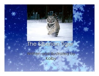 The Siberian Tiger
Written and Illustrated by
Kolby
 