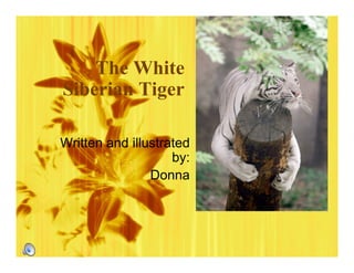 The White
Siberian Tiger

Written and illustrated
                    by:
                Donna
 